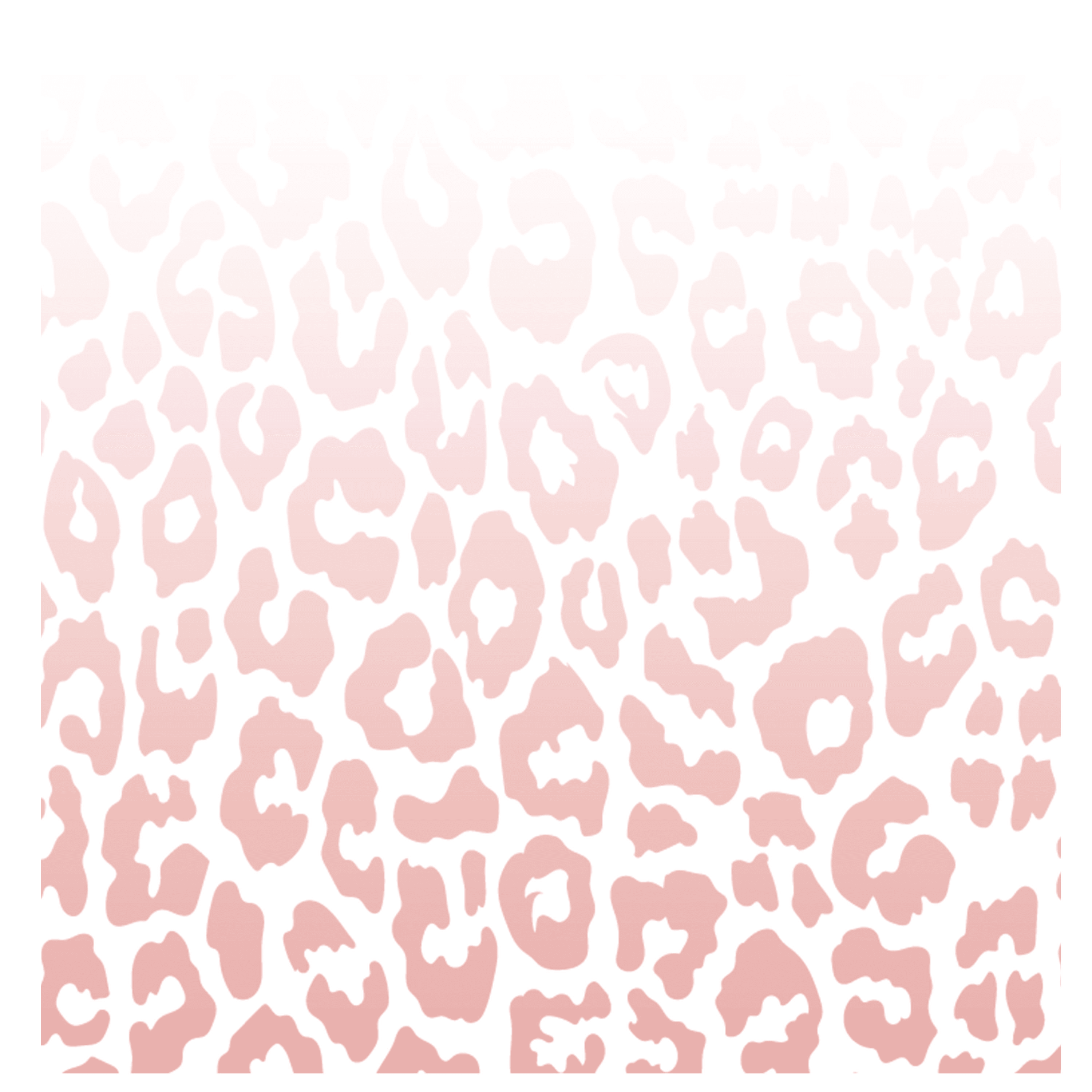 VEDETTE - SWEET NABBODY